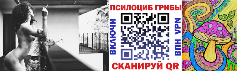 площадка наркотические препараты  Почеп  Галлюциногенные грибы прущие грибы 