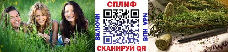 Конопля сатива  гидра зеркало  Почеп 
